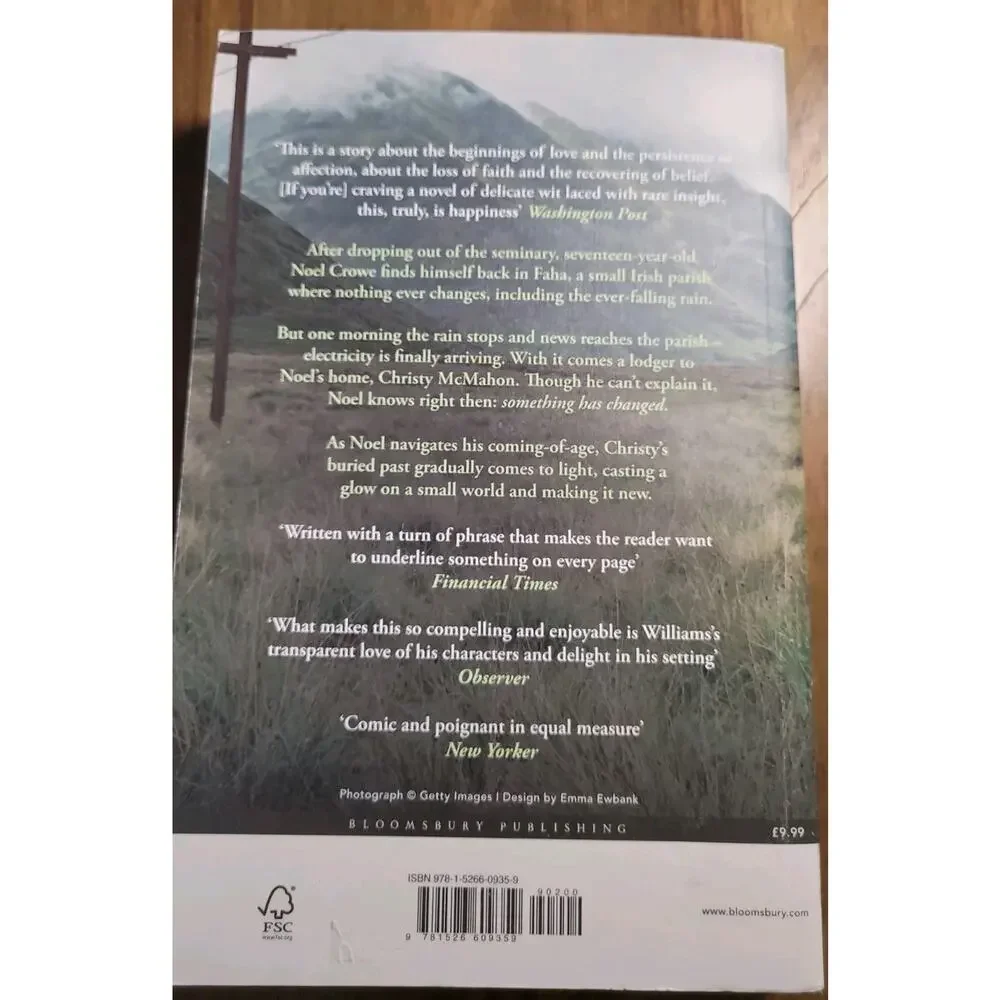 This Is Happiness - paperback Niall Williams